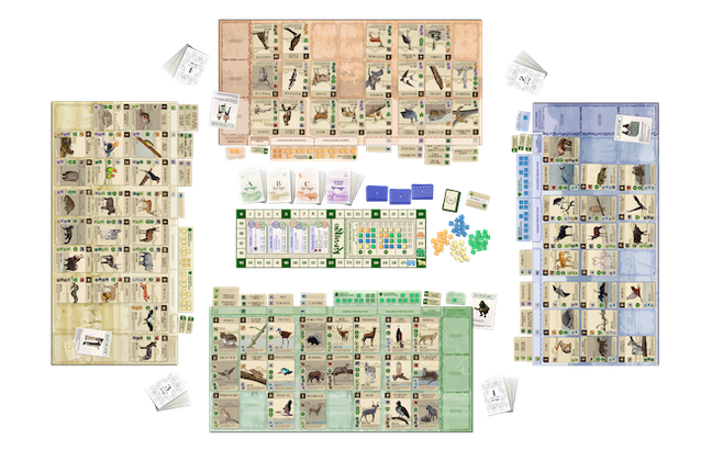 Kavango Strategic And Fast-Paced Board Game MZG2403EN