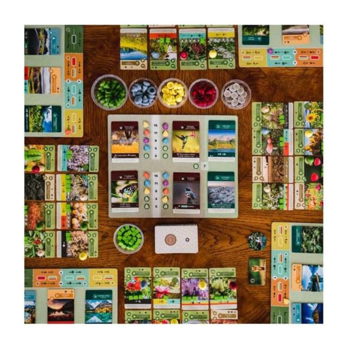 Earth Board Game Strategically Grow Ecosystem with Unique Flora Fauna and Terrains