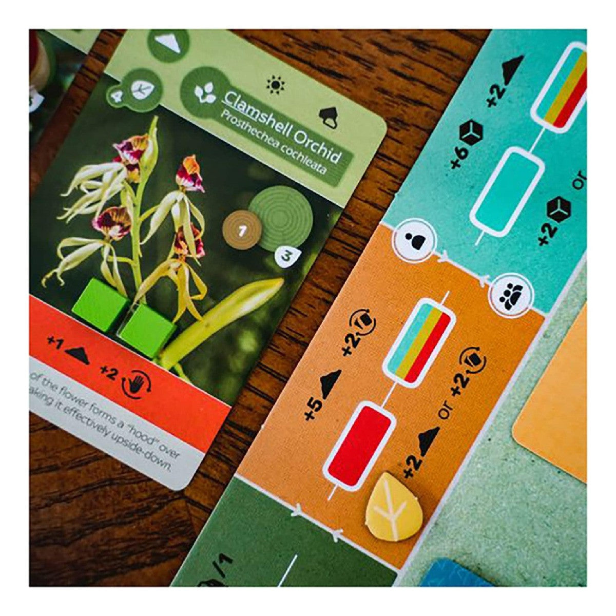 Earth Board Game Strategically Grow Ecosystem with Unique Flora Fauna and Terrains