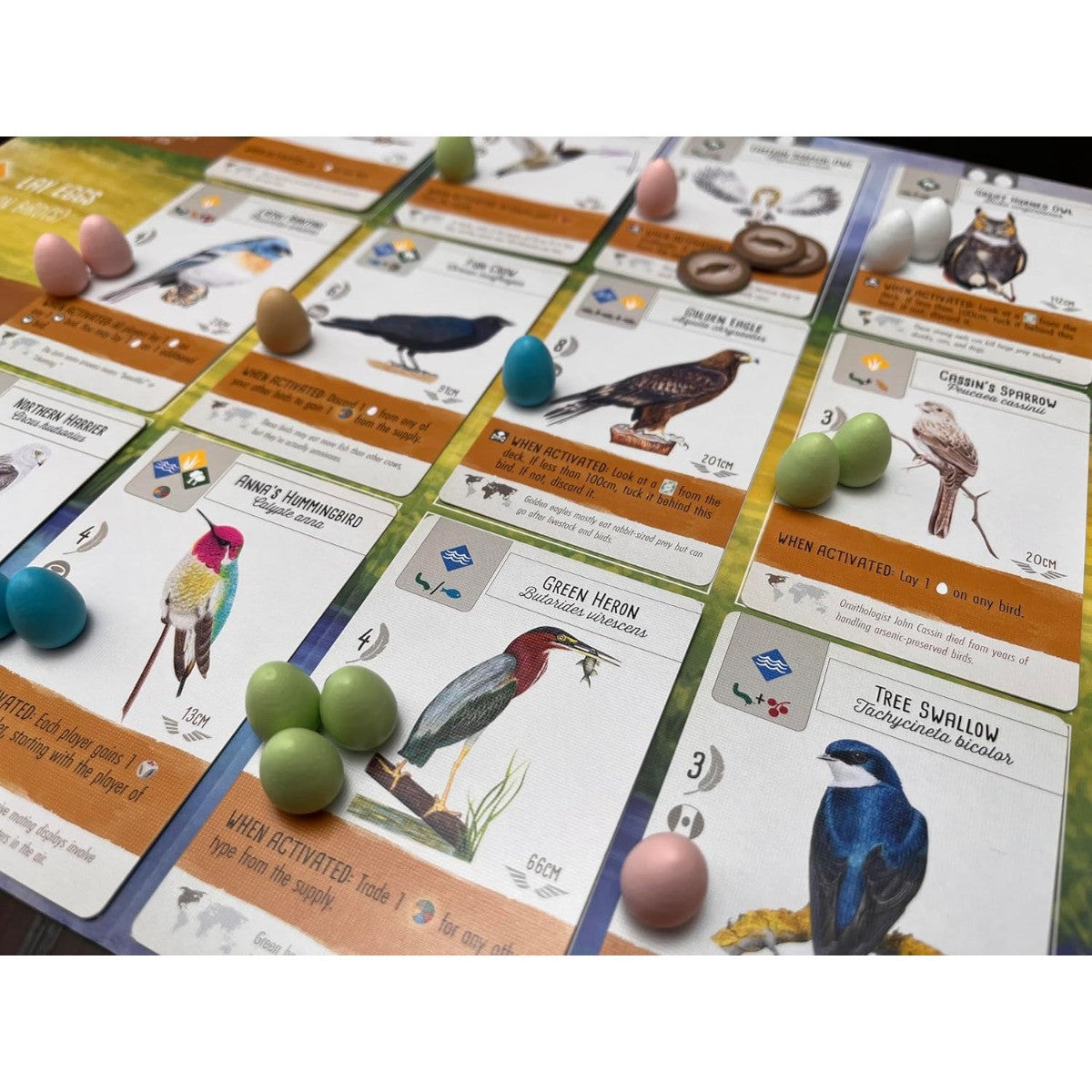 Stonemaier Wingspan Board Game Competitive Bird Collection Engine Building Base Game for Adults and Family for 1 to 5 Players Average Playtime 40 to 70 Minutes STM910
