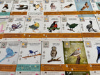WINGSPAN: FAN ART CARDS