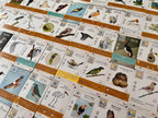 WINGSPAN: FAN ART CARDS