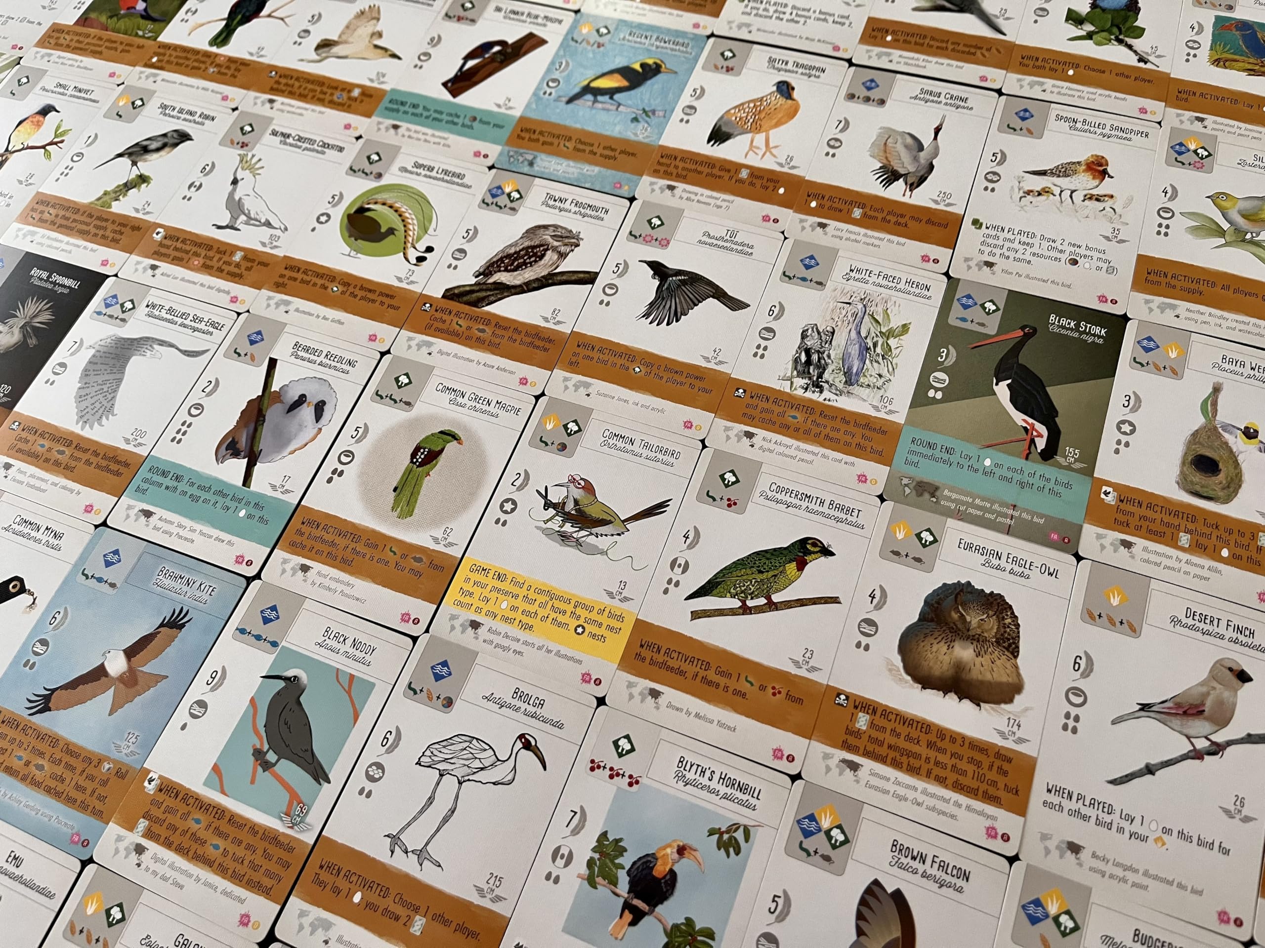 WINGSPAN: FAN ART CARDS