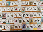 WINGSPAN: FAN ART CARDS