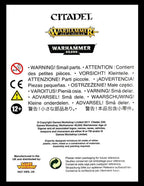 Games Workshop Warhammer Age of Sigmar Dreadlord can be used as Sorceress on Black Dragon Web Exclusive