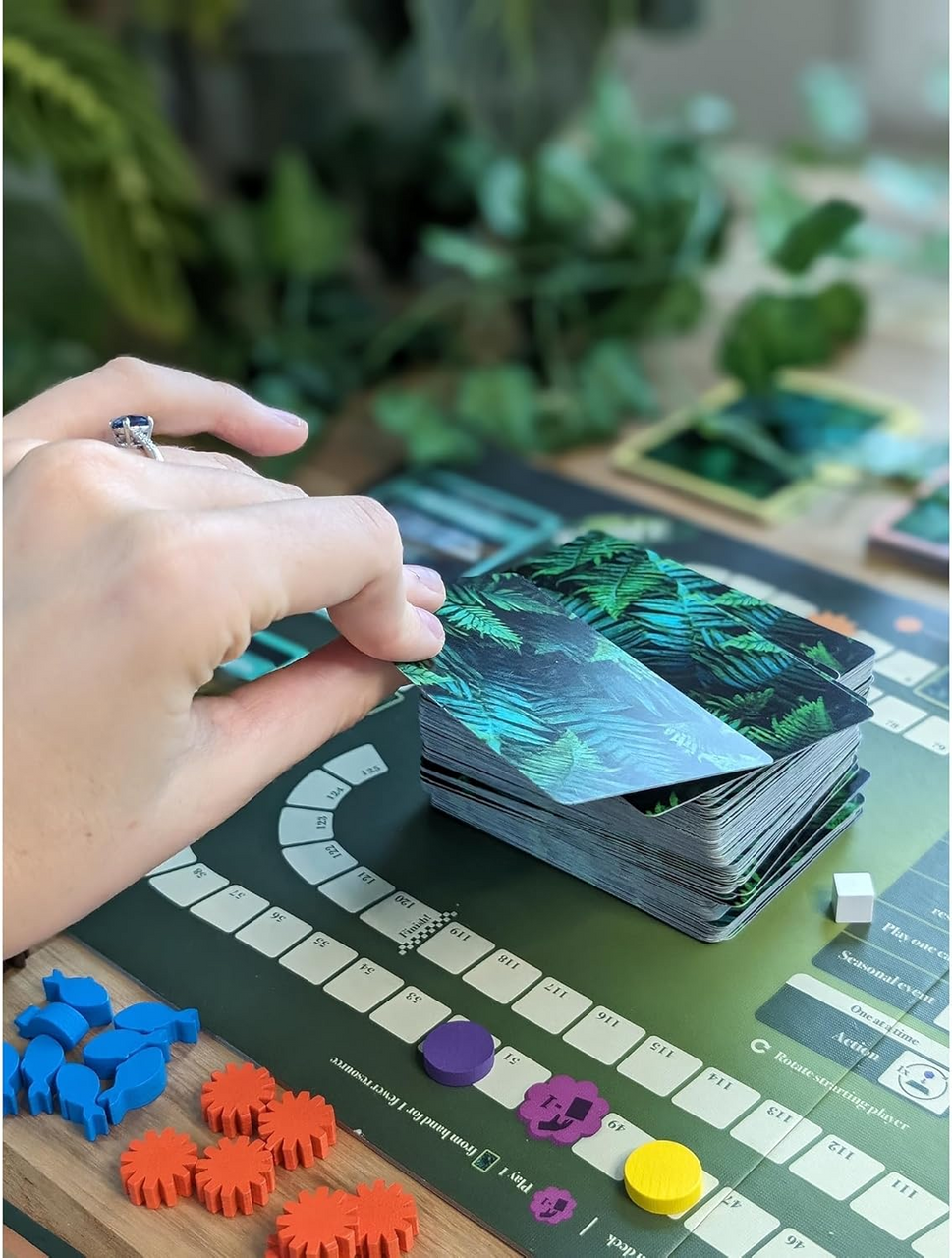 Lioness Games Biome Deluxe Edition Nature Themed Strategy Board Game for Adults and Family for 1 to 4 Players Average Playtime 60 to 120 Minutes LGB002EN