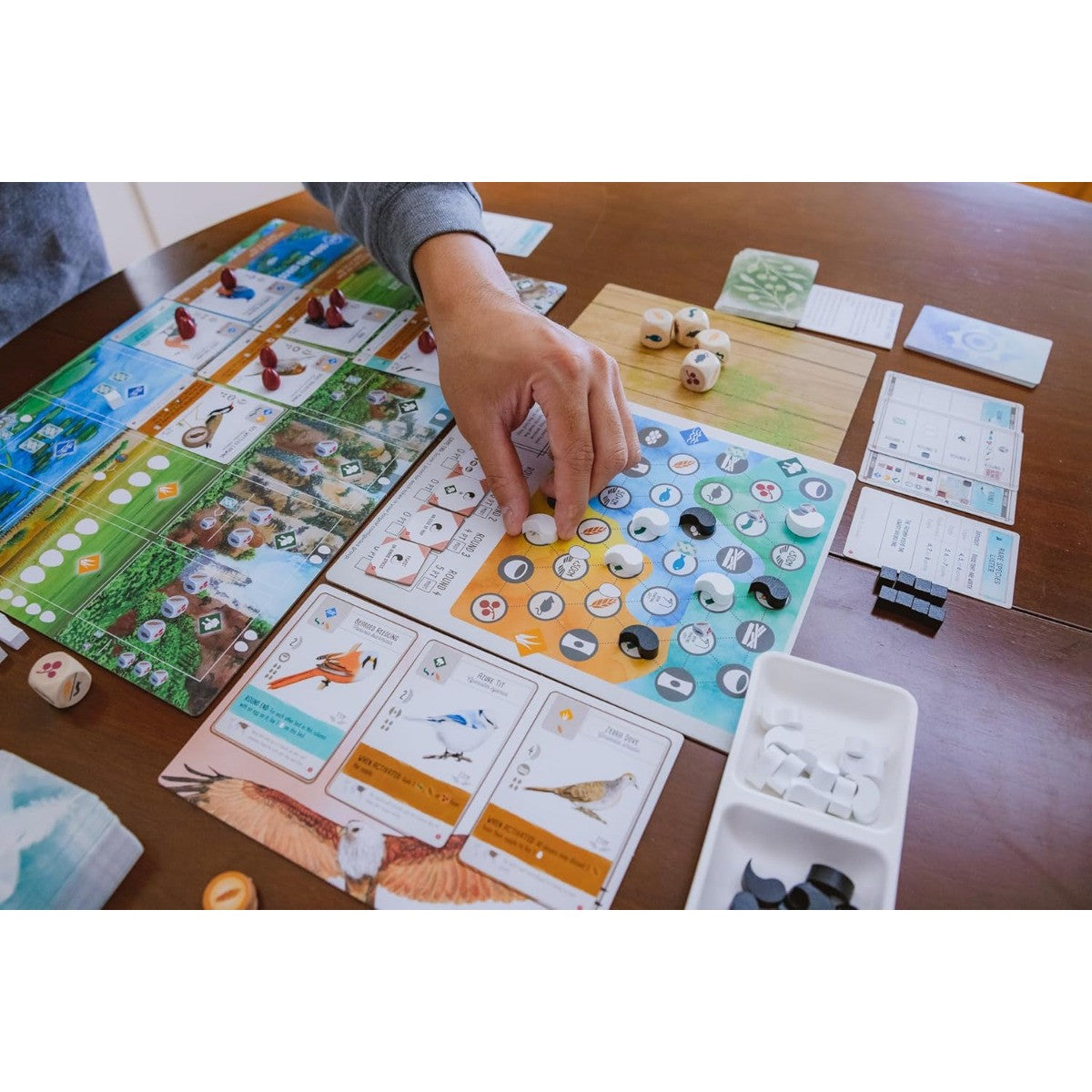 Stonemaier Wingspan Asia Board Game Expansion Standalone or Duet Flock Modes for Adults and Family for 1 to 7 Players Average Playtime 40 to 70 Minutes STM906