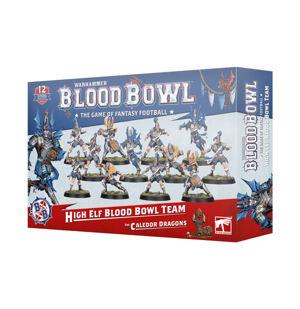Games Workshop Blood Bowl High Elf Blood Bowl Team Plastic Box 202-62