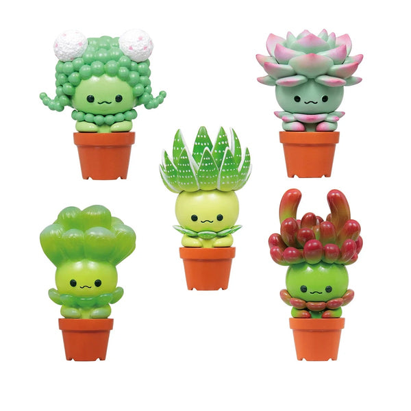 Succulent Friends Blind Box - Single Pack