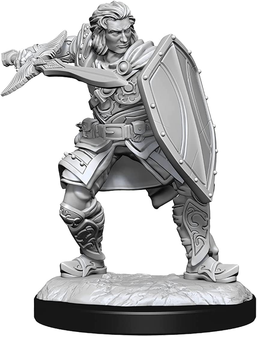 Dungeons and Dragons Wizkids Human Paladin Nolzurs Marvelous Unpainted s W14 Human Paladin Male Miniature D&D WZK90220