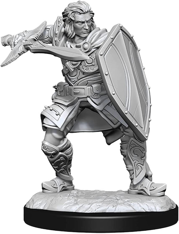 Dungeons and Dragons Wizkids Human Paladin Nolzurs Marvelous Unpainted s W14 Human Paladin Male Miniature D&D WZK90220