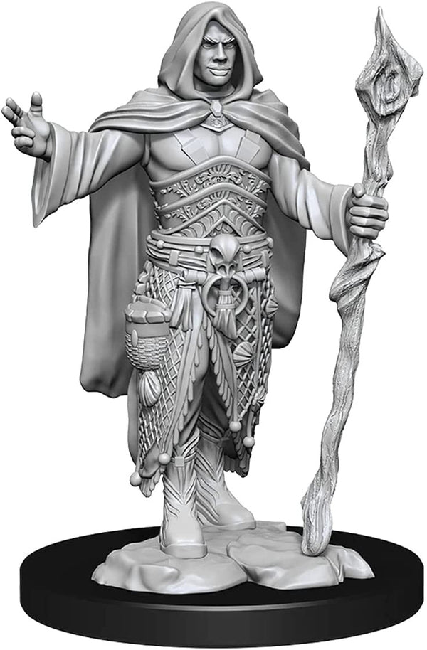 Dungeons and Dragons Wizkids Human Druid Nolzurs Marvelous Unpainted s W14 Human Druid Male Miniature D&D WZK90221