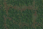 Wizkids Dungeons And Dragons Battle Mat Icons Of The Realms Forest Terrain D&D WZK96049