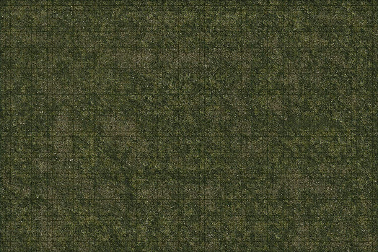 Wizkid Dungeons And Dragons Battle Mat Icons Of The Realms Grasslands Terrain D&D WZK96050