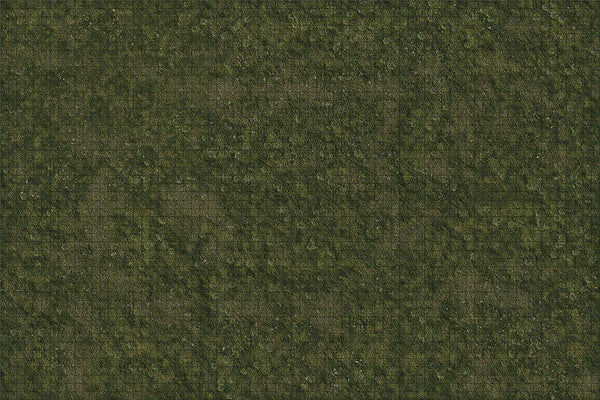 Wizkid Dungeons And Dragons Battle Mat Icons Of The Realms Grasslands Terrain D&D WZK96050