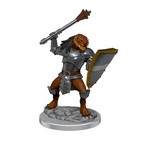 Wizkids Dungeons And Dragons Nolzur's Marvelous Unpainted Miniatures W18 Dragonborn Clerics WZK90522
