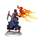 Wizkids Dungeons And Dragons Dragonborn Sorcerer Frameworks W01 Female Miniature D&D WZK75035