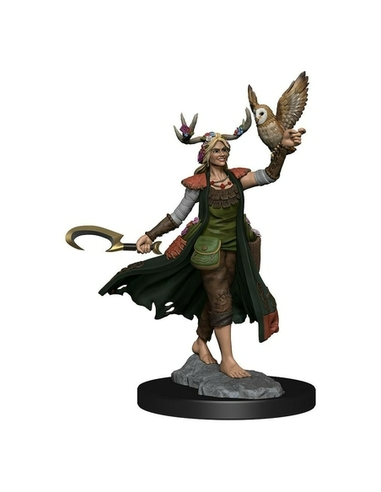 Wizkids Dungeons And Dragons Human Druid Frameworks W01 Female Miniature D&D WZK75012