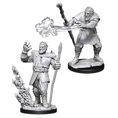 Dungeons and Dragons Wizkids Firbolg DruidWizKids Nolzurs Marvelous Upainted s Wave 11 Male Firbolg Druid Miniature D&D WZK90013