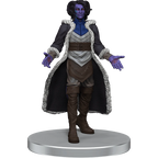 Wizkids Dungeons And Dragons Critical Role The Tombtakers Boxed Set WZK74275